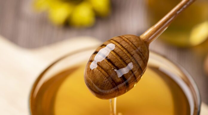 Can Pets Enjoy Sweets Safely? Find Out Now!