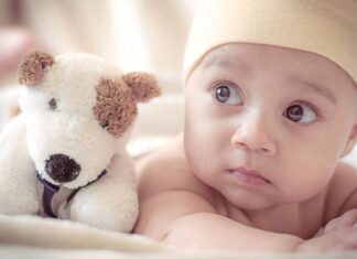 How To Introduce Your Baby To Your Dog