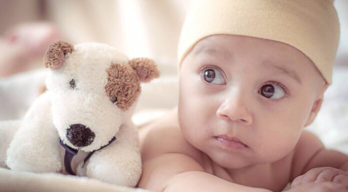 How To Introduce Your Baby To Your Dog