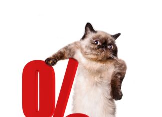 Understanding Guaranteed Analysis: Key Insights Explained Cat with percent sign