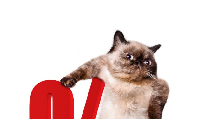 Understanding Guaranteed Analysis: Key Insights Explained Cat with percent sign