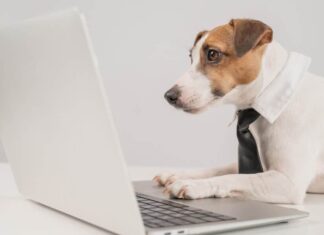 Weekly Roundup: Funny Dog Posts From Last Week (Oct 14)