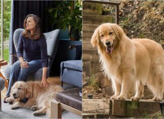 Jennifer Garner Mourns The Loss Of Her Pet Dog, Birdie the Doggie