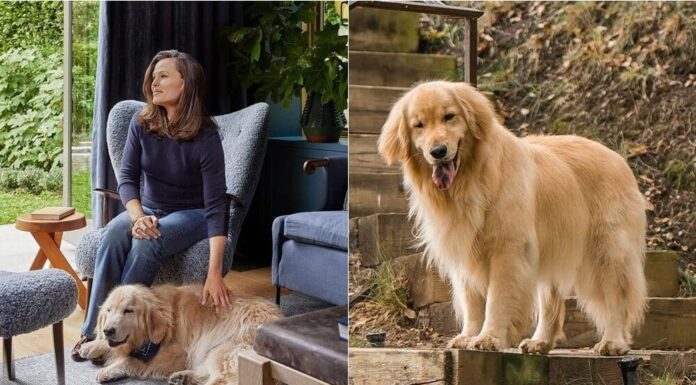 Jennifer Garner Mourns The Loss Of Her Pet Dog, Birdie the Doggie