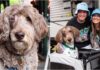 DJ Kygo Invites Namesake Dog with Terminal Cancer To A Music Festival VIP Experience