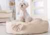 Why Are Donut Beds A Popular Choice For Dogs?