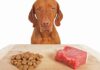 Did You Know That Wet Food Is Seven Times Worse For Climate Than Dry Food?