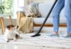 Why Are Dogs Scared Of Vacuums?
