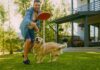 New Year, Greener Pet: 7 Ways To Make An Eco-Friendly Dog Routine In 2025