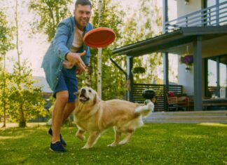 New Year, Greener Pet: 7 Ways To Make An Eco-Friendly Dog Routine In 2025
