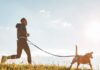 Fitness App Strava Partners With Fi Collar To Help Track Your Dog’s Fitness
