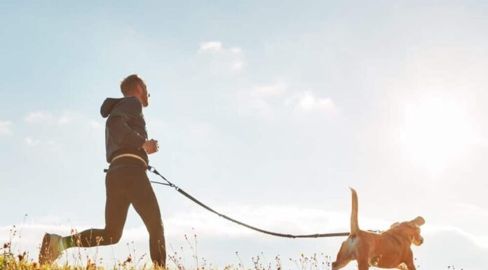 Fitness App Strava Partners With Fi Collar To Help Track Your Dog’s Fitness