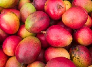 Can Dogs Safely Enjoy Mango? Discover the Truth!