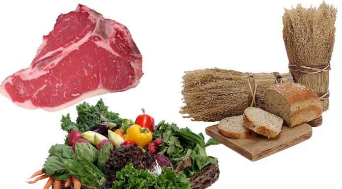 Discover Why Pet Food Ingredients Aren’t Everything Meat vegetables and trains