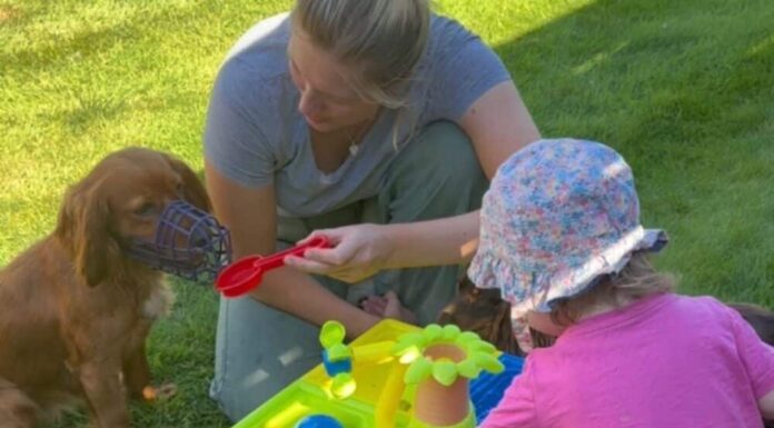 Instead Of Rehoming, This Mother Is Choosing To Muzzle Her Dog, Here’s Why
