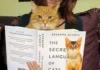 Unlocking the Secrets of Cat Communication