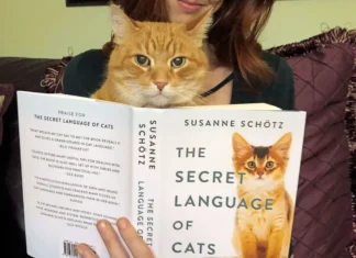 Unlocking the Secrets of Cat Communication