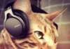 Do Cats Enjoy Music? Discover Their Fascinating Response!