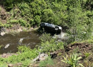 Oregon Man Rescued From Car Crash After His Hero Dog Runs 4 Miles To Get Help