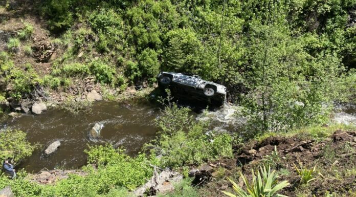 Oregon Man Rescued From Car Crash After His Hero Dog Runs 4 Miles To Get Help