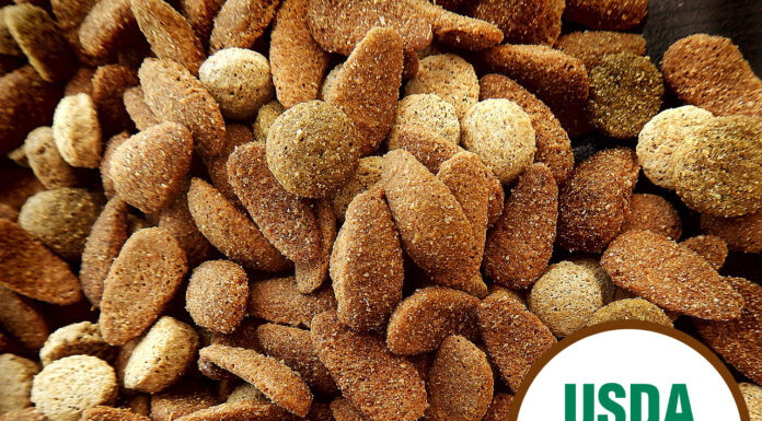 Is Organic Pet Food the Key to Your Pet’s Health?