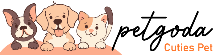 Cuties Pet Blogs