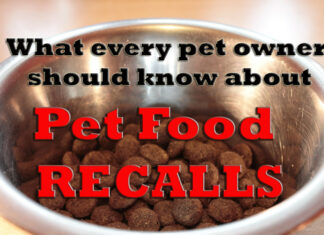 Understanding Pet Food Recalls: What Every Pet Owner Should Know