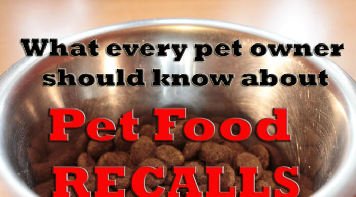 Understanding Pet Food Recalls: What Every Pet Owner Should Know