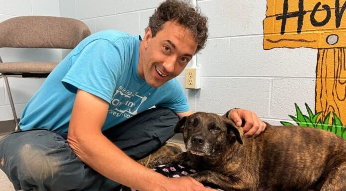 ‘A Living Miracle’: Cavers Rescue A Dog They Found 40 to 50 Feet Down Virginia Cave