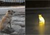 Russian Dog Dubbed As ‘Hachiko 2.0’, Found Sitting Beside Frozen River Waiting For Dead Owner’s Return
