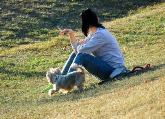 Quitting Smoking for the New Year? Do it For Your Dog!