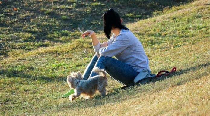 Quitting Smoking for the New Year? Do it For Your Dog!