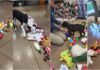 WATCH: Animal Shelter Lets Its Shelter Dogs Pick Out Their Own Christmas Toys