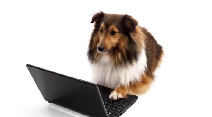 Weekly Roundup: Funny Dog Posts From Last Week (Oct 21)