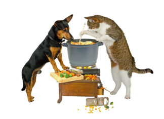 Reasons to Rethink a Home-Cooked Diet Before You Start