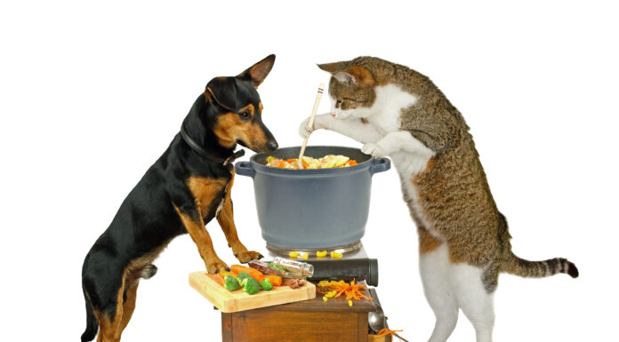 Reasons to Rethink a Home-Cooked Diet Before You Start