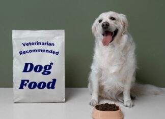 Essential Vet-Recommended Pet Foods You Must Know About
