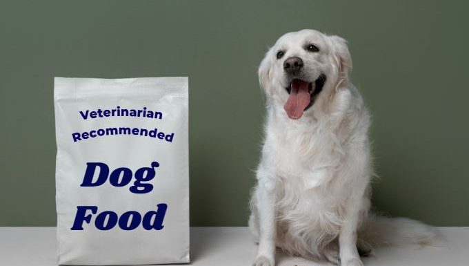 Essential Vet-Recommended Pet Foods You Must Know About