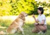 Study Shows Dogs Listen To Women Better Than Men, Here’s Why