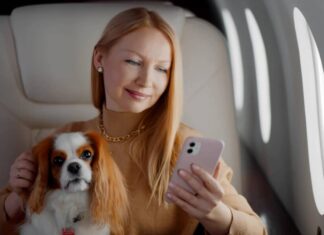 Introducing BARK Air, A New Airline Designed For Dogs That Will Launch In May