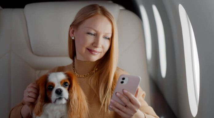 Introducing BARK Air, A New Airline Designed For Dogs That Will Launch In May