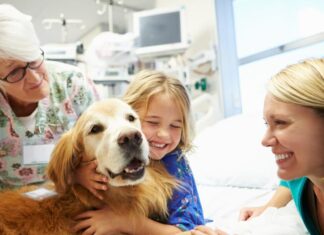 An Introduction To Therapy Dogs: How They Help Improve Mental And Physical Health