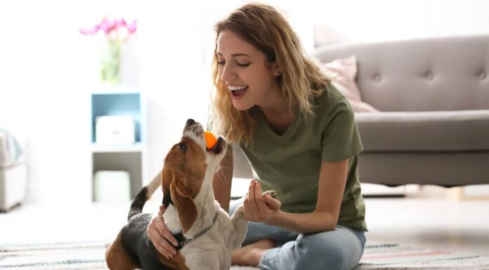 New Study Finds Playing With Dogs Relieves Stress And Helps People Concentrate
