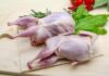 Essential Guide to Healthy Foods: Quail for Your Dog
