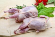 Essential Guide to Healthy Foods: Quail for Your Dog