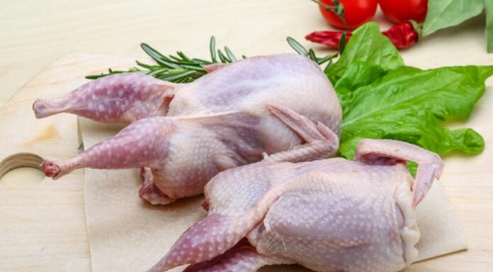 Essential Guide to Healthy Foods: Quail for Your Dog