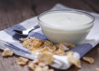 Essential Healthy Foods for Dogs: The Benefits of Yogurt