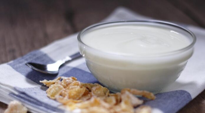 Essential Healthy Foods for Dogs: The Benefits of Yogurt