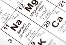 Essential Minerals: Choose the Best Dog Food for Your Pup