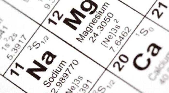 Essential Minerals: Choose the Best Dog Food for Your Pup